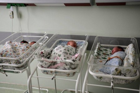 1100 детей родились в 2022 году в Краснодарском крае с помощью ЭКО