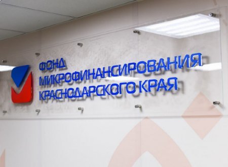 С начала года предприниматели Краснодара получили более 200 микрозаймов