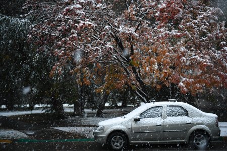 Синоптики рассказали, когда в Краснодаре пойдет первый снег